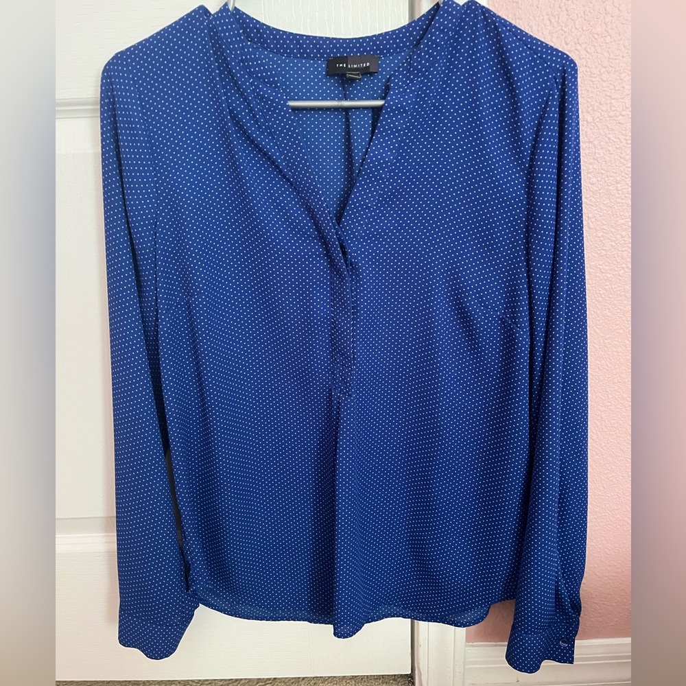 The Limited Blouse